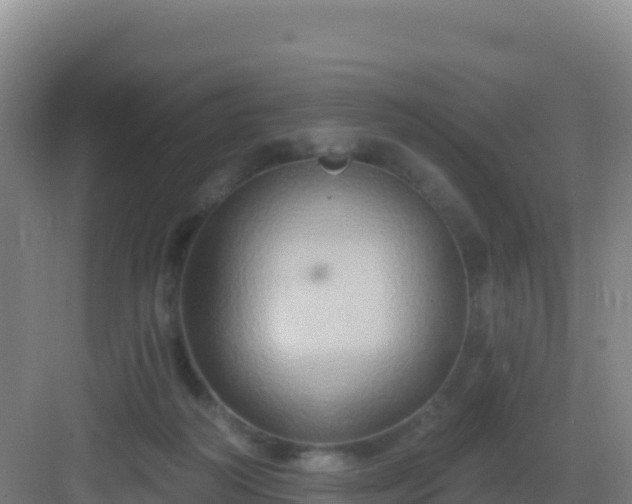 X0000083040218200702091417