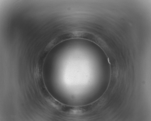 X0000083040220200702091417