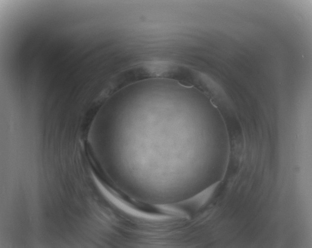 X0000083040221200702091417