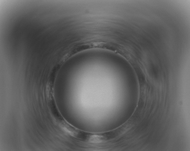 X0000083040222200702091417