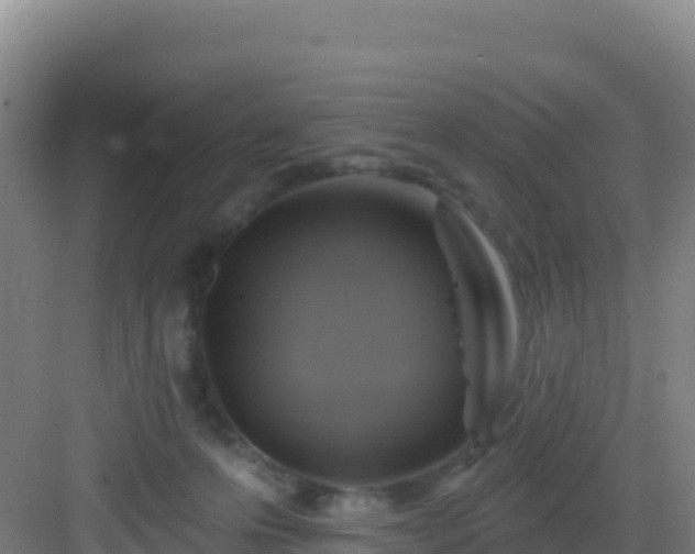 X0000083040223200702091417