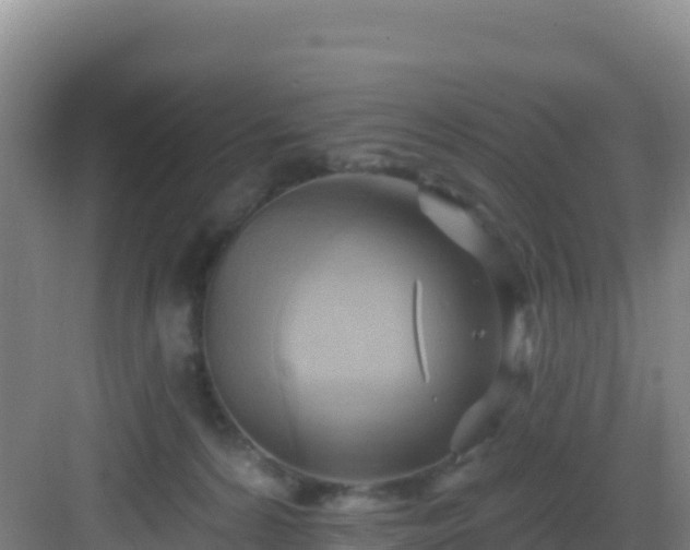 X0000083040224200702091417