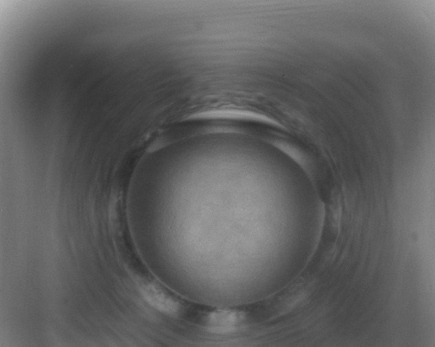 X0000083040225200702091417