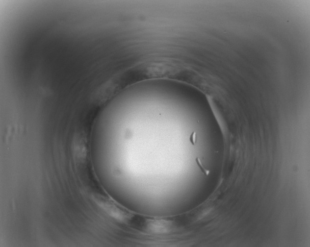 X0000083040226200702091417