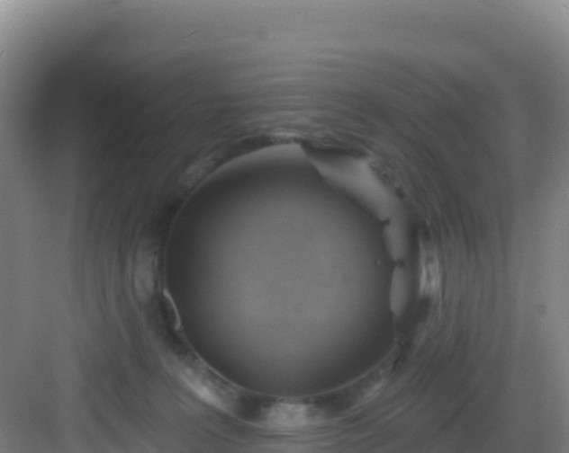 X0000083040227200702091417