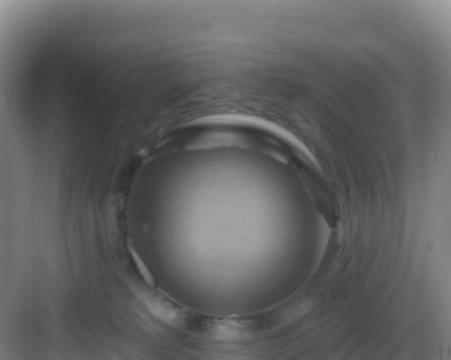 X0000083040229200702091417