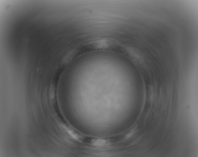 X0000083040230200702091417