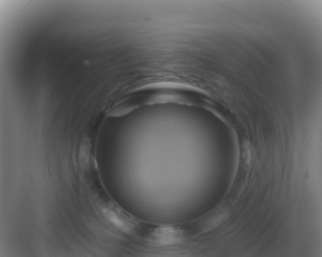 X0000083040231200702091417