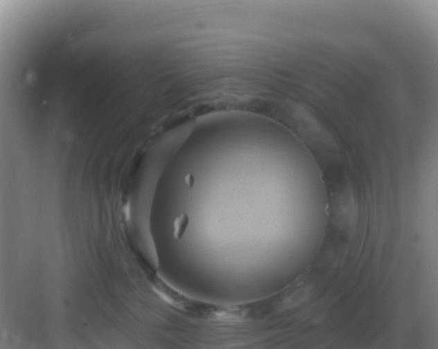 X0000083040232200702091417