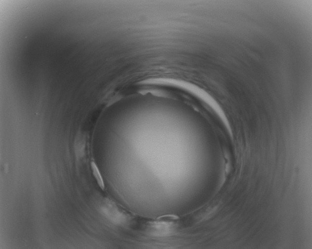 X0000083040233200702091417