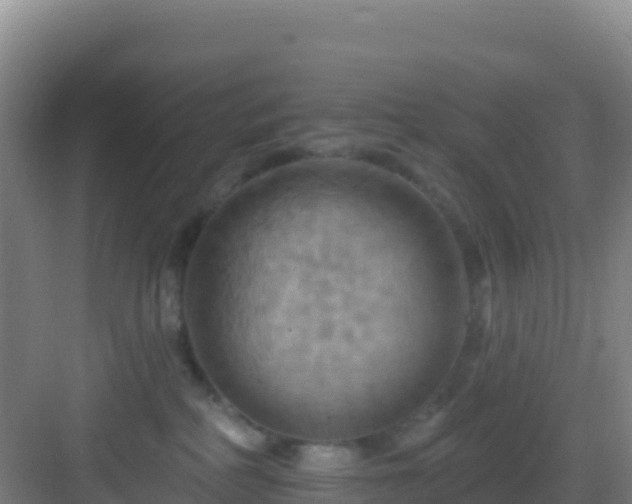 X0000083040234200702091417