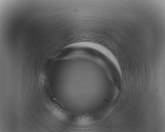 X0000083040235200702091417