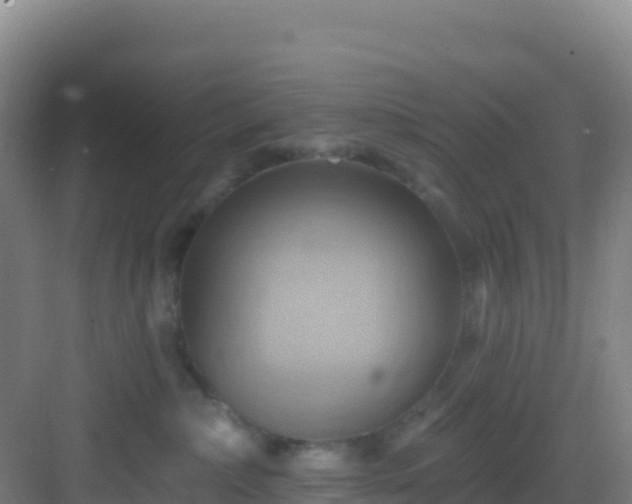 X0000083040236200702091417