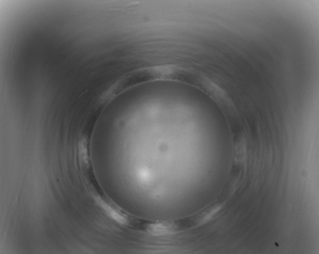 X0000083040238200702091417