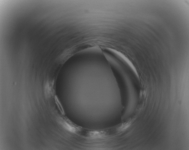 X0000083040239200702091417