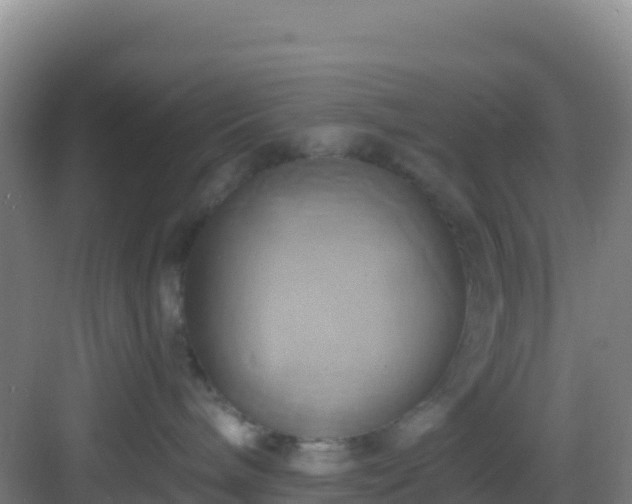 X0000083040240200702091417