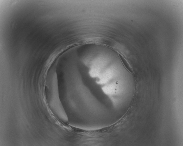 X0000083040241200702091416