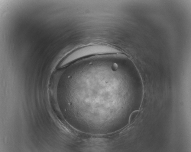 X0000083040242200702091416