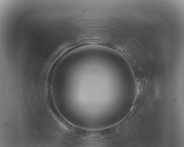 X0000083040243200702091416