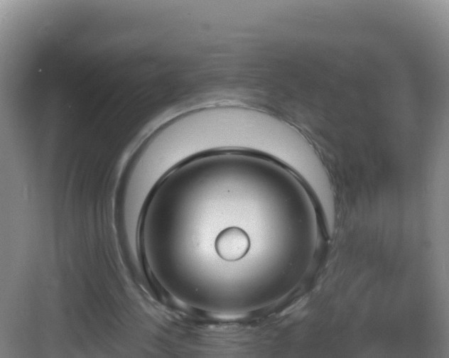 X0000083040244200702091416