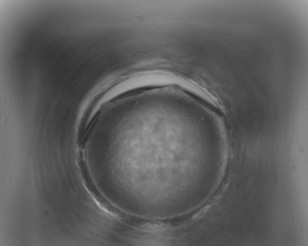 X0000083040245200702091416