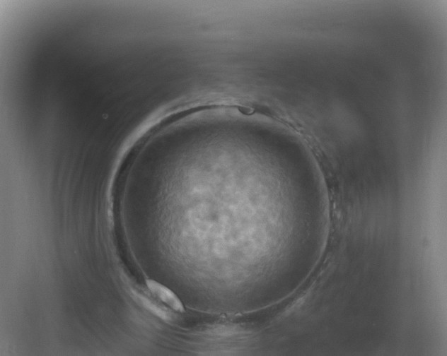 X0000083040246200702091416