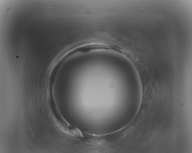 X0000083040247200702091416