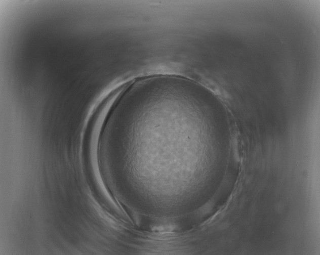 X0000083040248200702091416