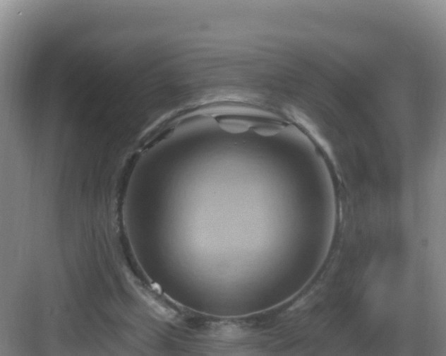 X0000083040249200702091416