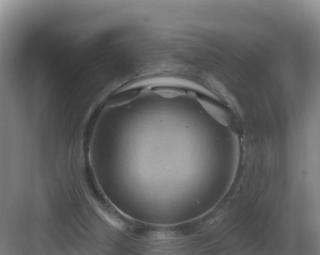 X0000083040250200702091416