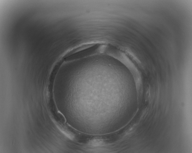 X0000083040252200702091416