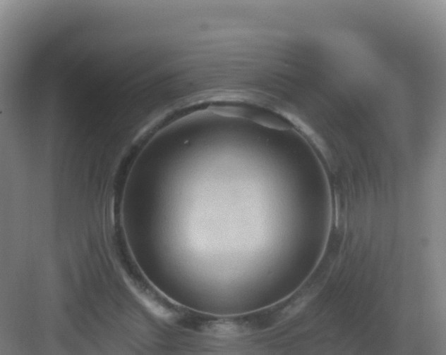 X0000083040253200702091416