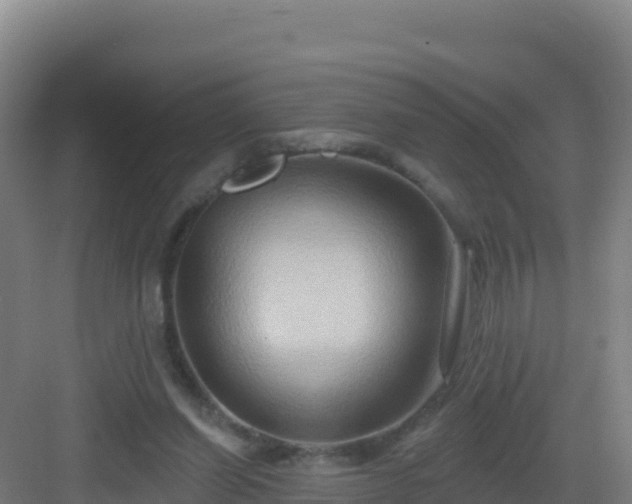 X0000083040254200702091416