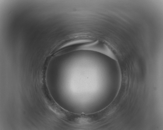 X0000083040255200702091416