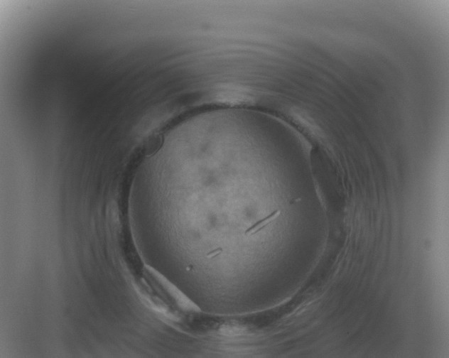 X0000083040256200702091416