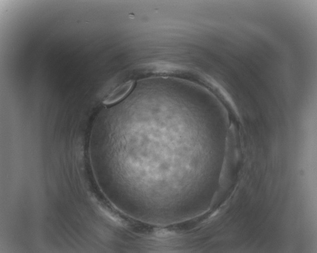 X0000083040257200702091416