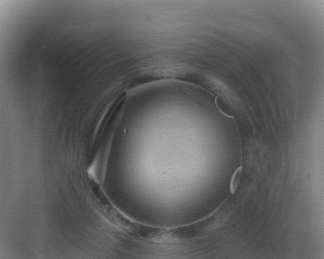 X0000083040258200702091416