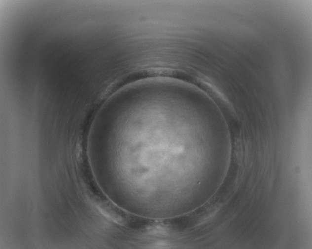 X0000083040259200702091416