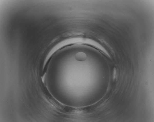 X0000083040260200702091416