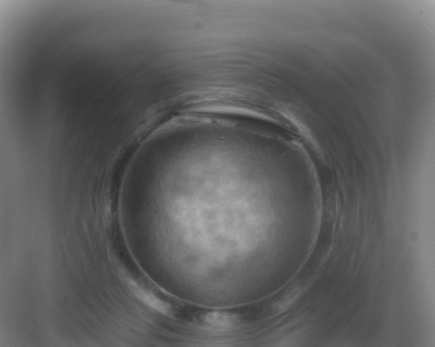 X0000083040261200702091416