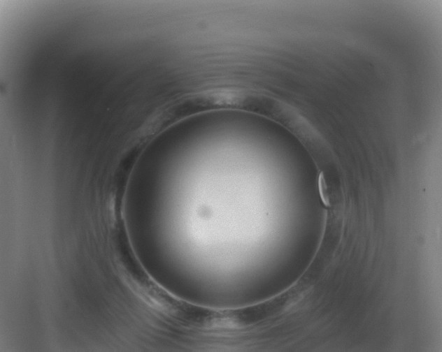 X0000083040262200702091416