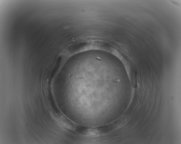 X0000083040263200702091416