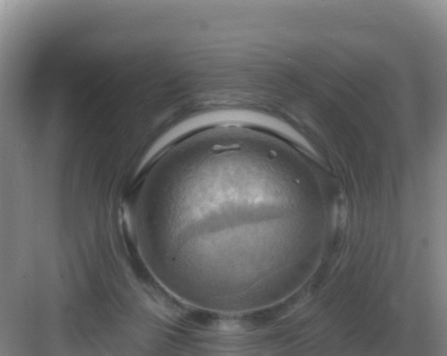 X0000083040264200702091416