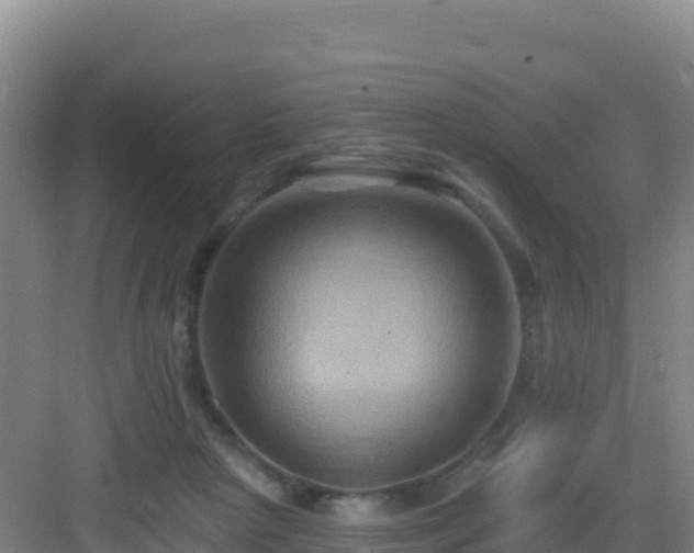 X0000083040265200702091416