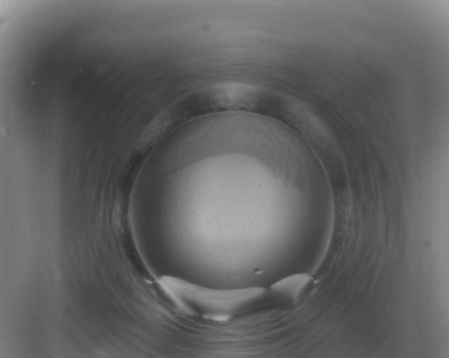 X0000083040266200702091416