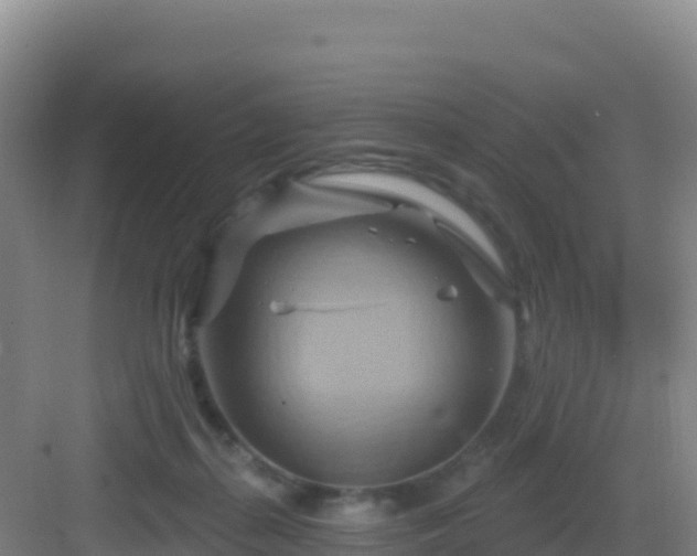 X0000083040267200702091416