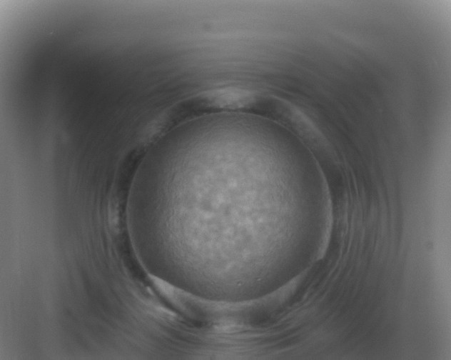 X0000083040268200702091416