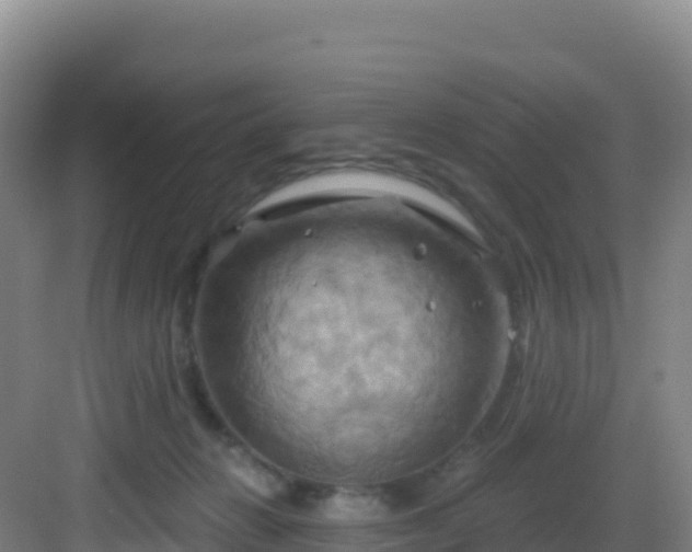 X0000083040270200702091416