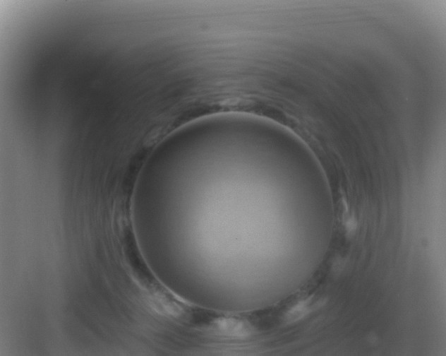 X0000083040272200702091416