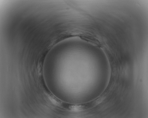 X0000083040273200702091417